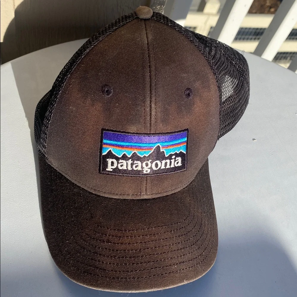 Patagonia Patagonia P-6 Logo LoPro Trucker Hat In Raptor Brown